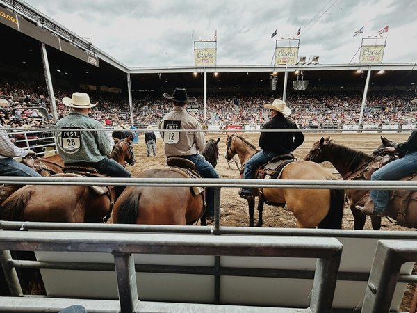 Les entraîneurs qui ont marqué les Playoffs NBA
